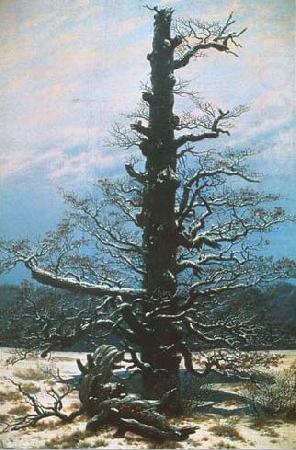 The Oak Tree in the Snow, Caspar David Friedrich
